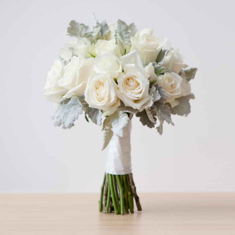 Diseño sin título (26)