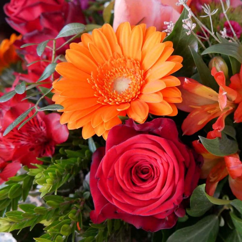 Diseño sin título (28)