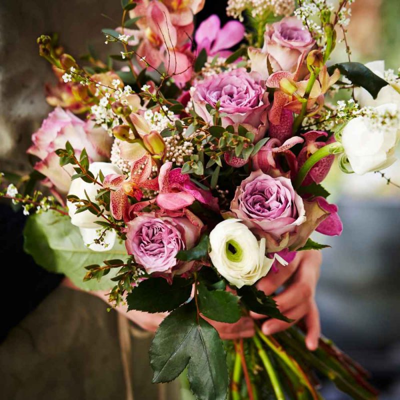 Diseño sin título (29)