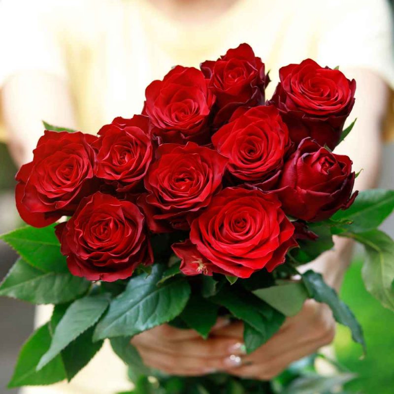 Diseño sin título (30)