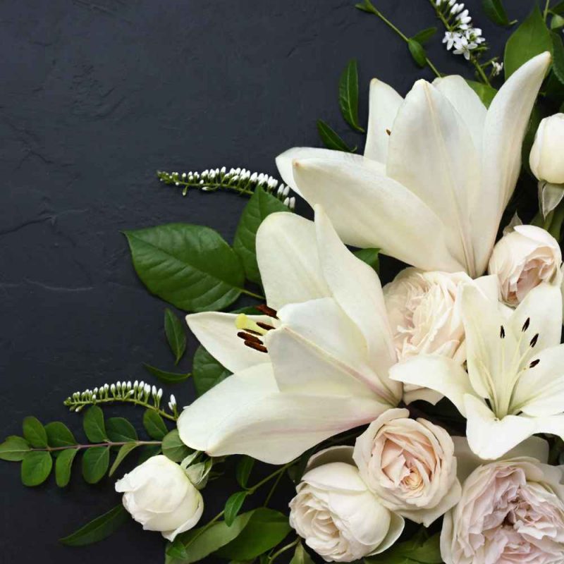 Diseño sin título (31)